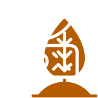 Fresh Vegetable Supply