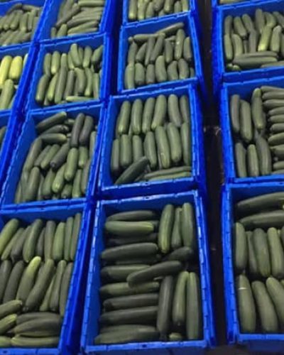 460881187_122172084848158224_6232090844069994515_n